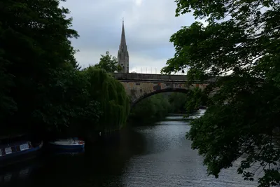 DSC_2705 (Large).JPG